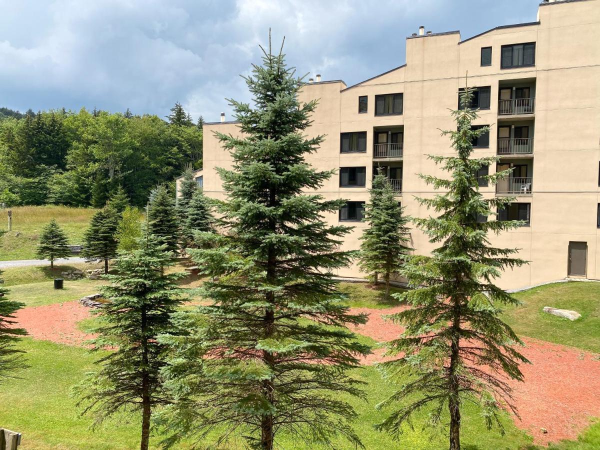 Ski-In Ski-Out Luxury Condo With Hot Tub And Pools 斯诺肖 外观 照片